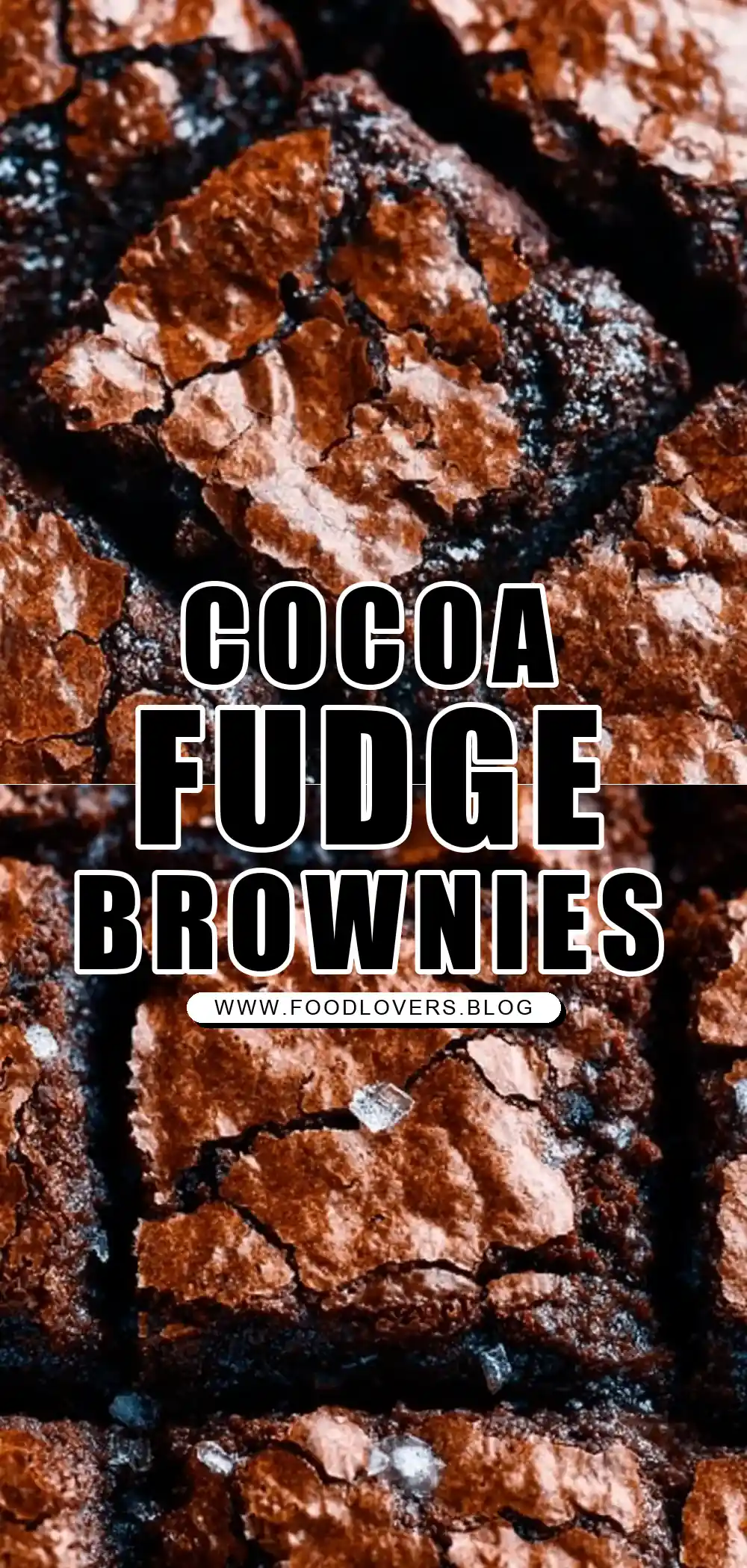 The Best Cocoa Fudge Brownies