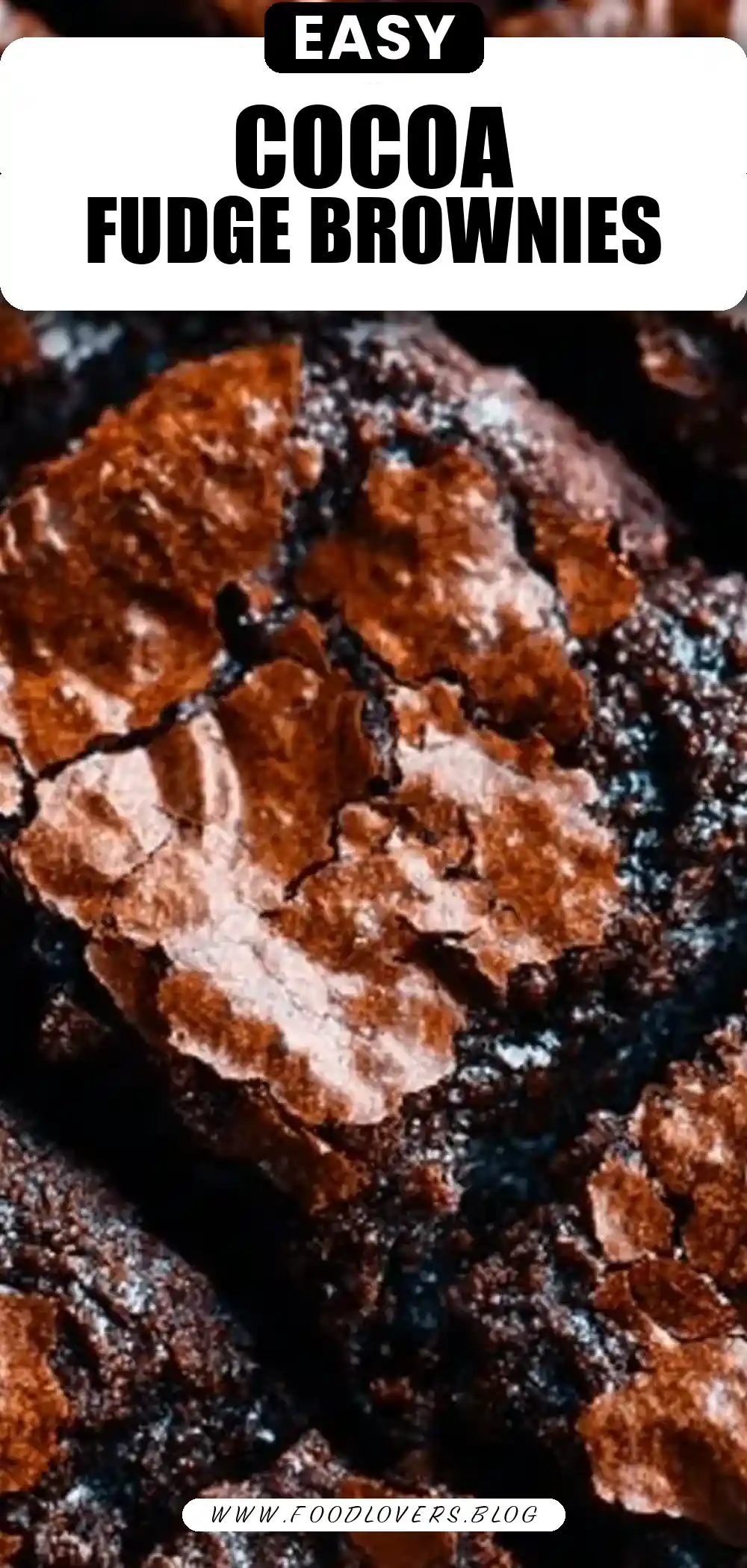 The Best Cocoa Fudge Brownies