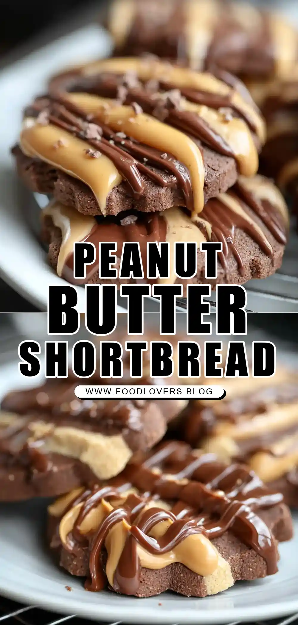 Peanut Butter Chocolate Shortbread Cookies