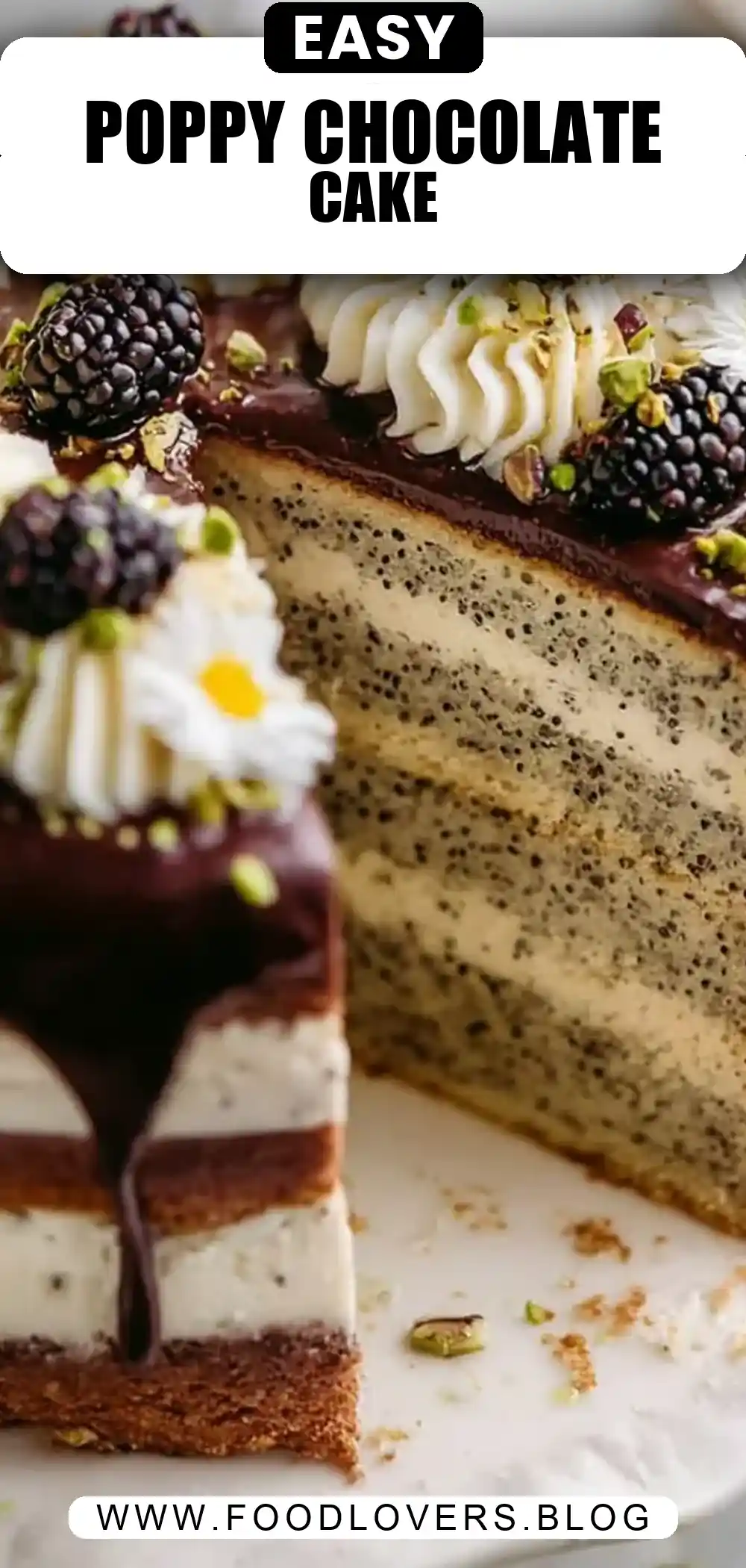 Poppy Seed Cake with Chocolate Ganache