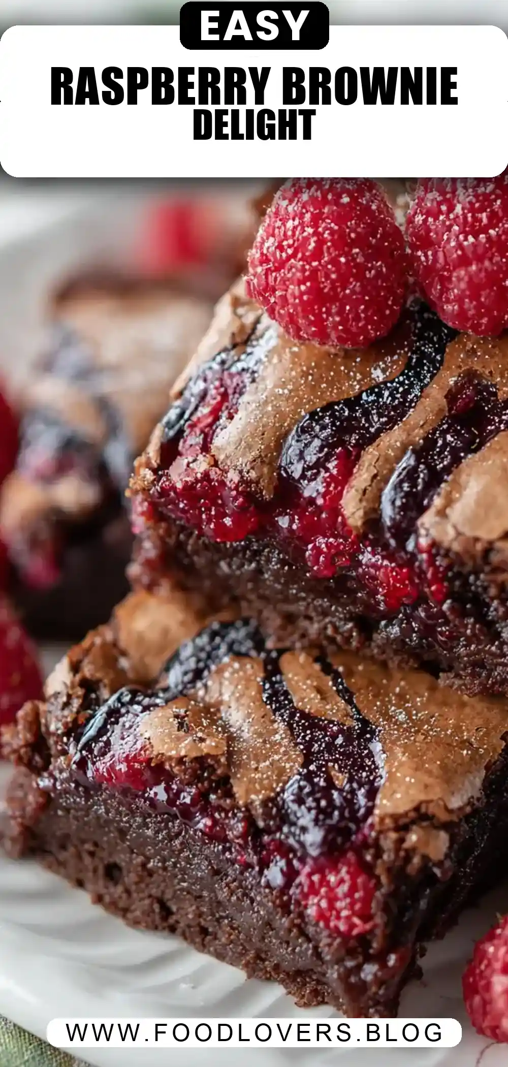 Raspberry Brownie