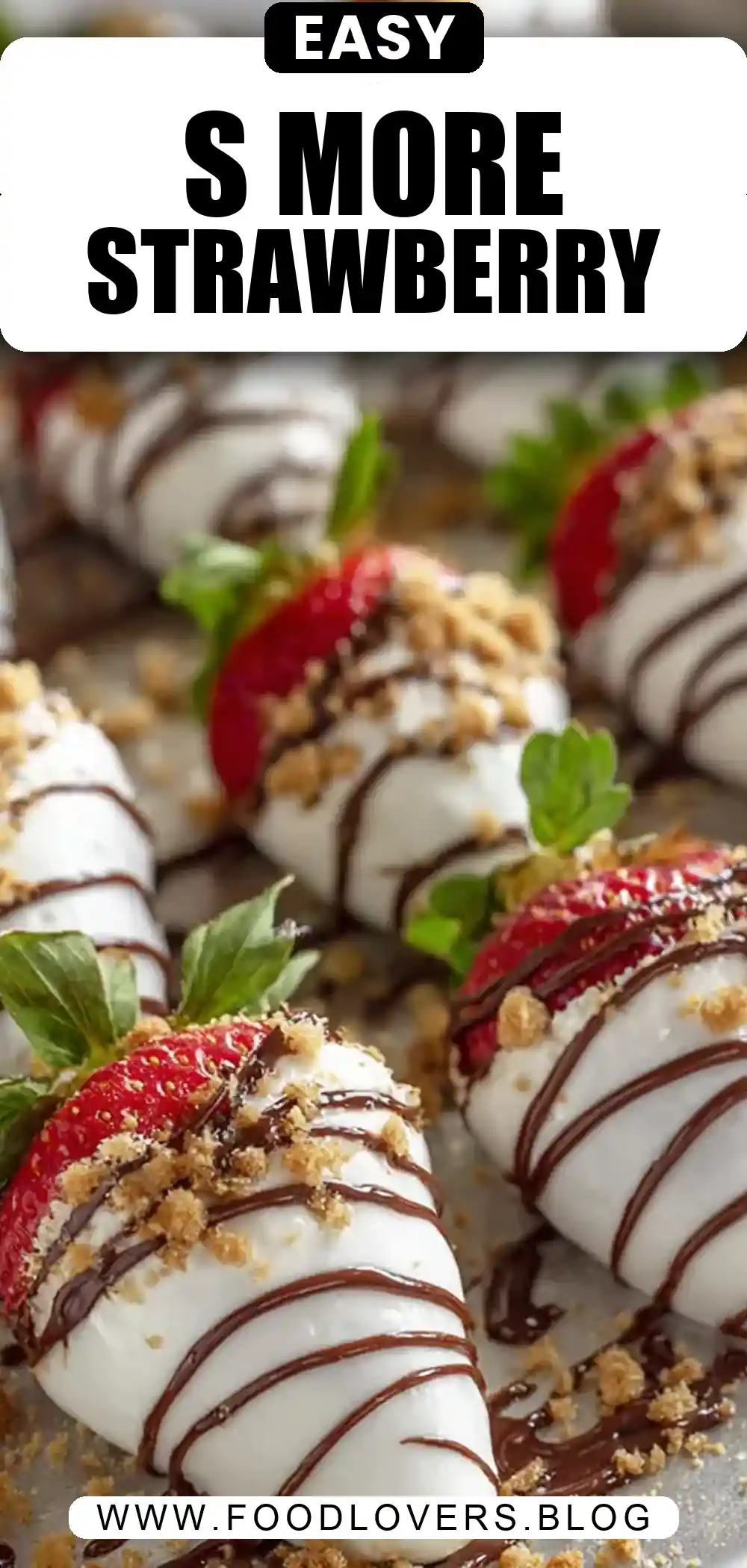 S’more Dipped Strawberries Recipe