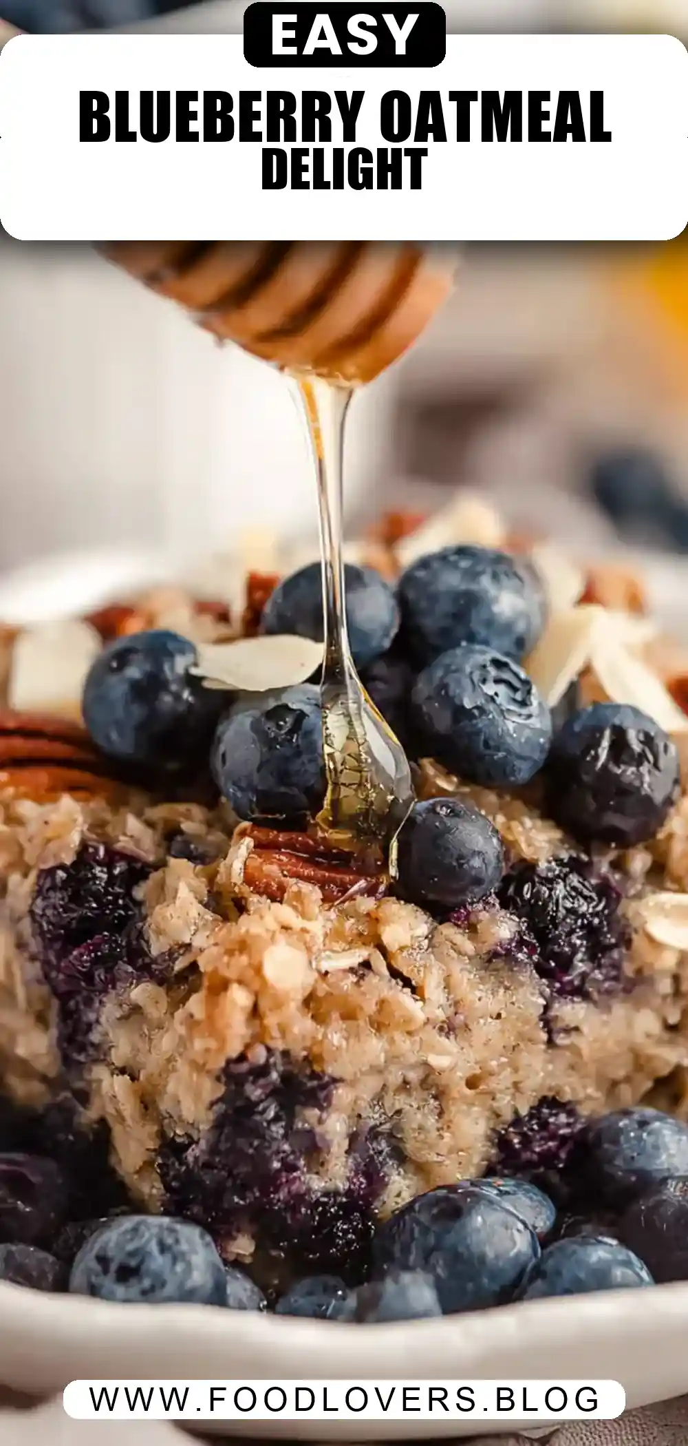 Blueberry Baked Oatmeal